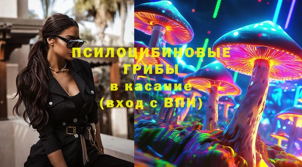 МДПВ Абаза