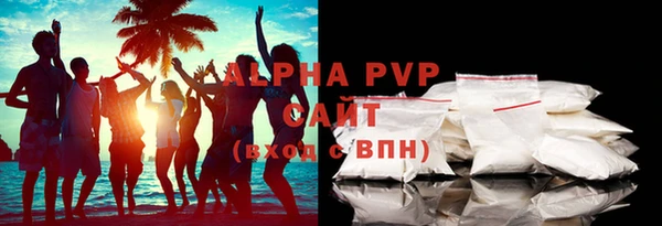 индика Алексин