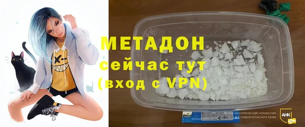 индика Алексин
