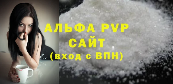 индика Алексин