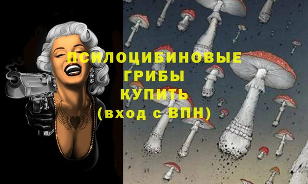 шишки Абдулино