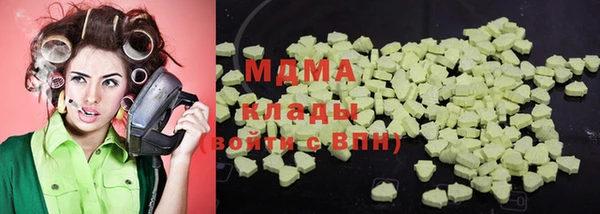 индика Алексин