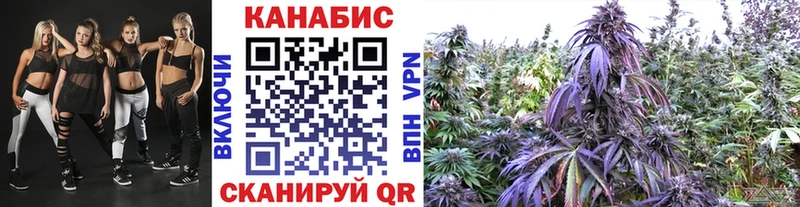 Каннабис SATIVA & INDICA Новоаннинский